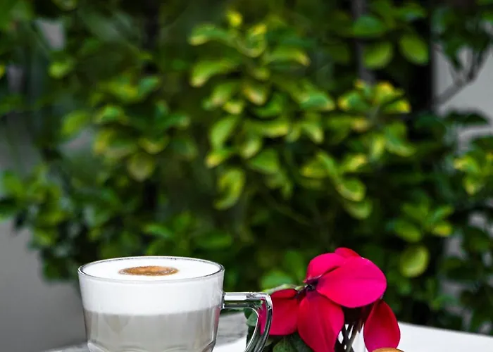 Elysee 4* Тирана